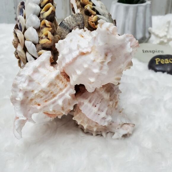 Vintage 1950 Handmade Seashell Napkin Holder - Picture 6 of 8